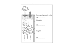 Layers of soil